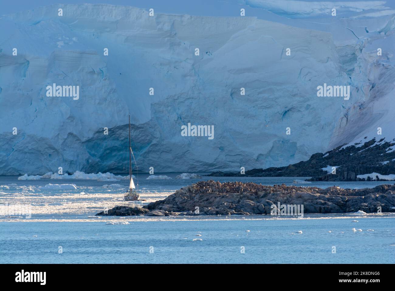 yacht moored in icy waters at port lockroy station on goudier island
