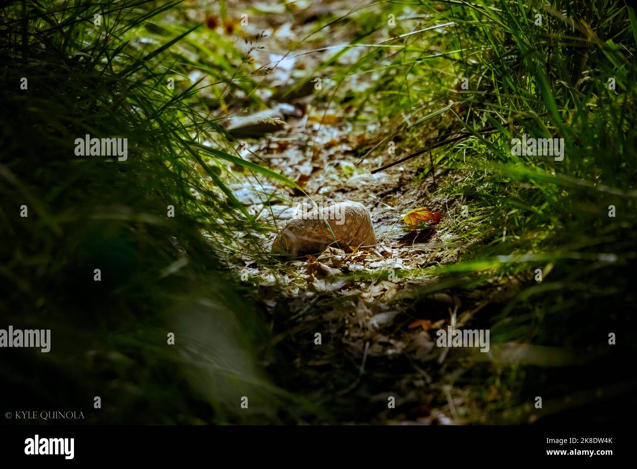 Alpha6000 hi-res stock photography and images - Alamy