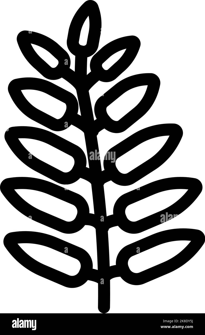 royal fern tropical leaf line icon vector illustration Stock Vector ...
