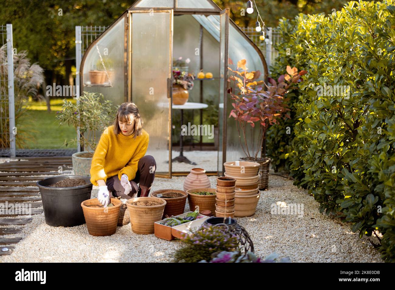 Woman planting flowers in jugs at garden Stock Photo - Alamy