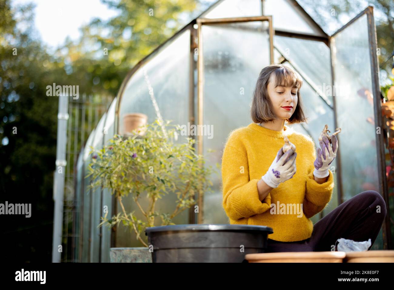 Woman planting flowers in jugs at garden Stock Photo - Alamy