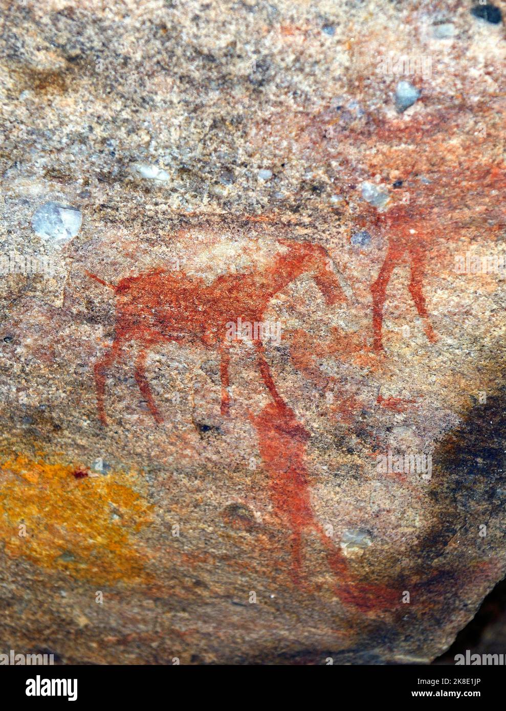 Ancient San Rock Art, Aboriginal South Africa, Seville Rock Art Trail