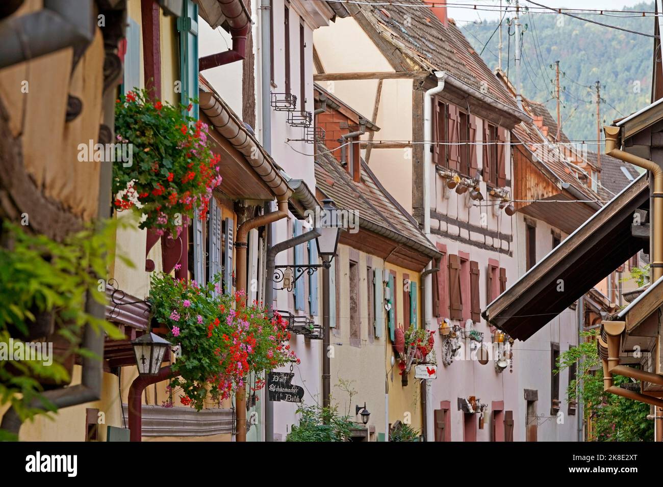 Colourful half-timbered houses in the historic old town of Eguisheim, Alsace, France Stock Photo