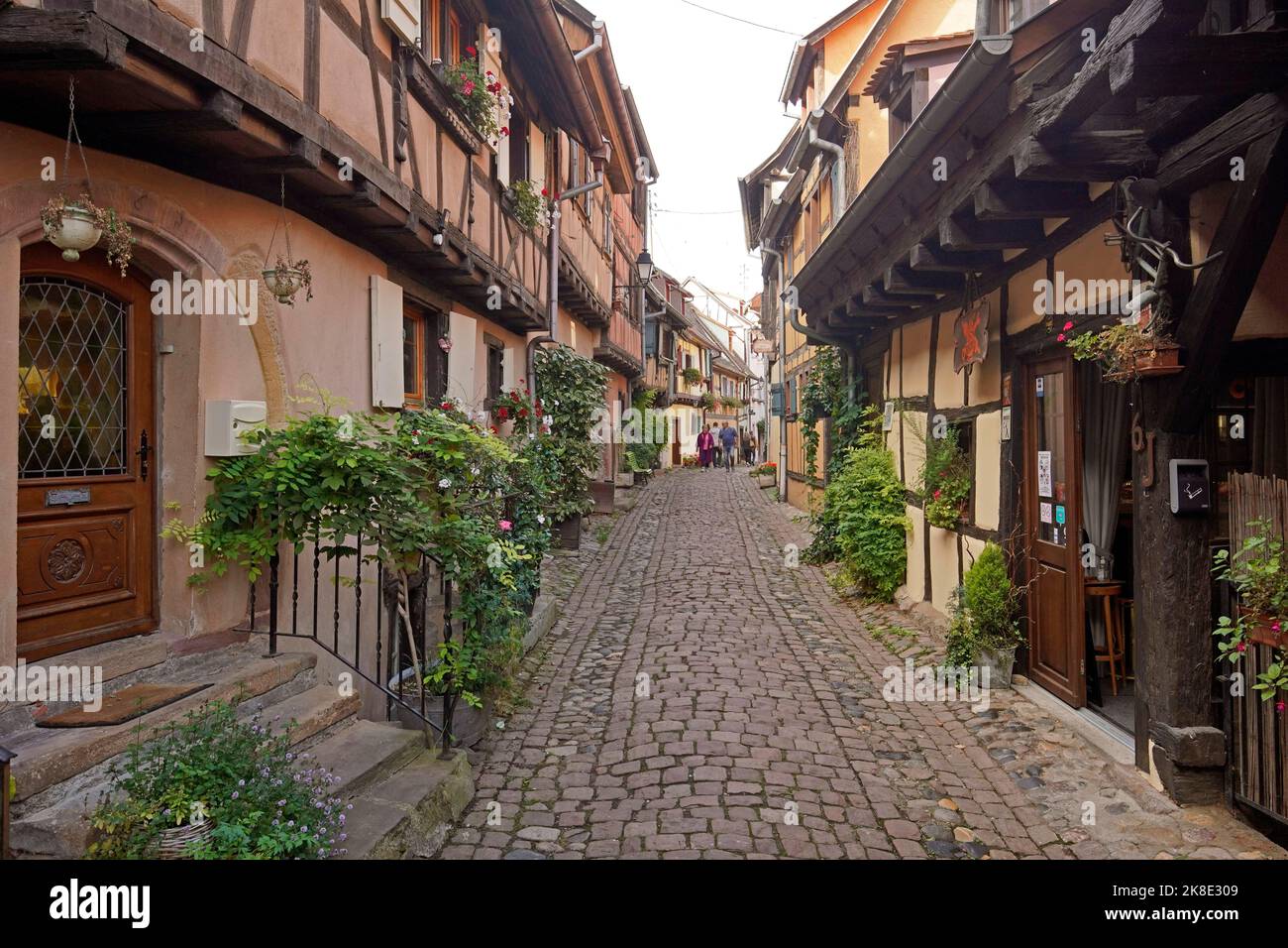 Colourful half-timbered houses in the historic old town of Eguisheim, Alsace, France Stock Photo