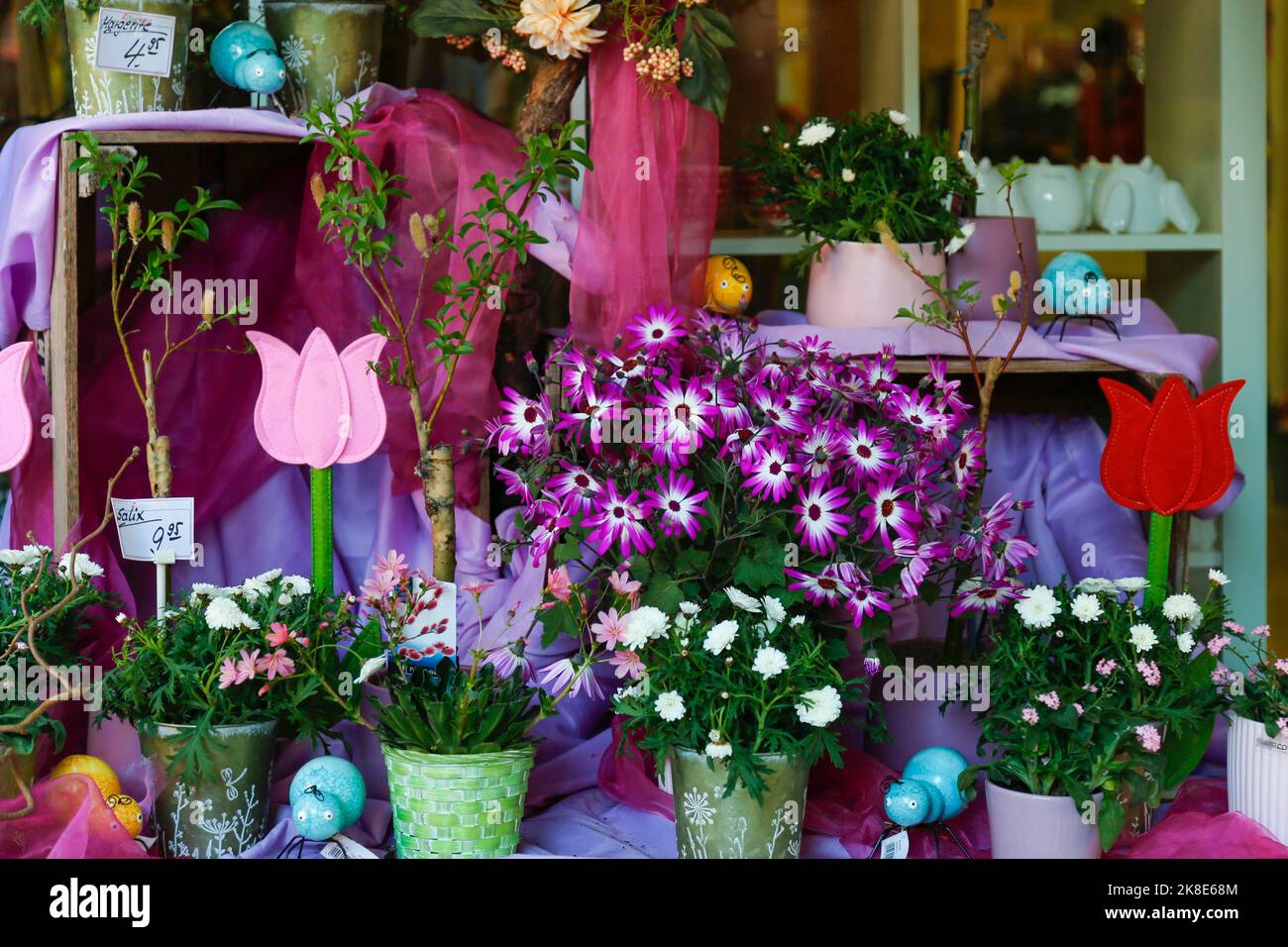 Flower shop in shopping street, range of goods, floristry, blossoms, flowers, fabric tulips, felt flowers, Ulm, Baden-Wuerttemberg, Germany Stock Photo