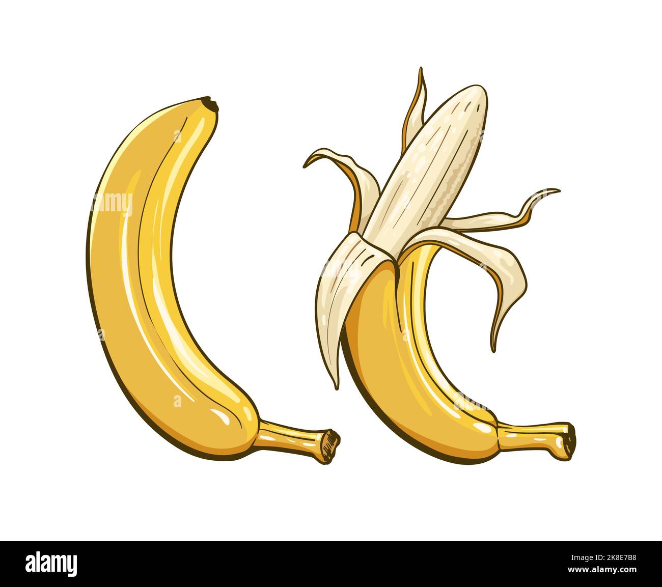 Cartoon banana clipart Stock Vector Image & Art Alamy