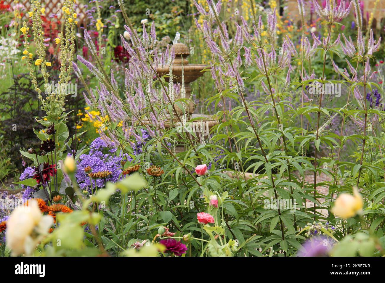 The Colourful Flowers of an English Cottage Garden Stock Photo - Alamy