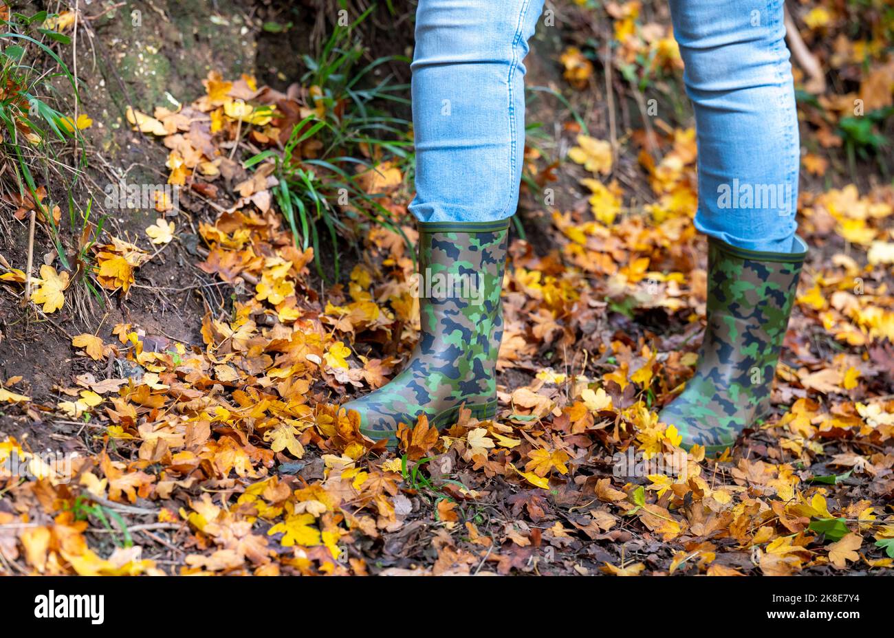 Woman wearing camouflage wellington boots walking through Autumn leaves England UK Stock Photo