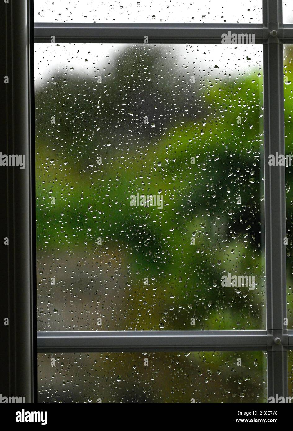 Raindrops on a glass window pane during wet weather England UK Stock Photo