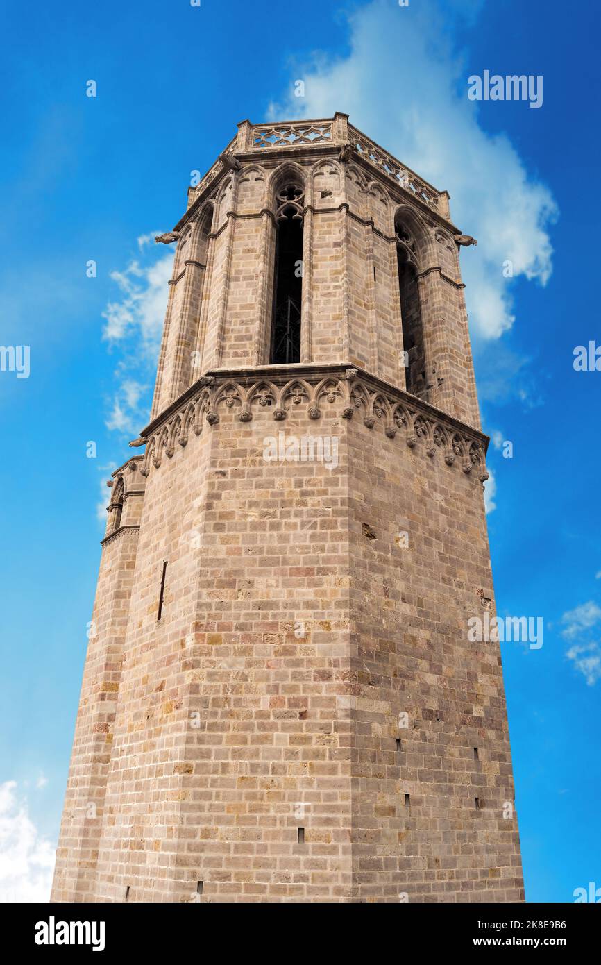 Detail of the Cathedral of the Holy Cross and Saint Eulalia (Catedral de la Santa Cruz y Santa Eulalia) in Barcelona, Catalonia, Spain - 13th, 15th ce Stock Photo