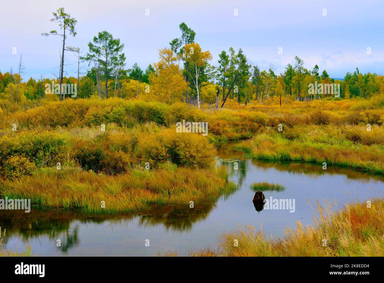 Autumn landscape with forest taiga of Buryatia, near Baikal lake Stock Photo