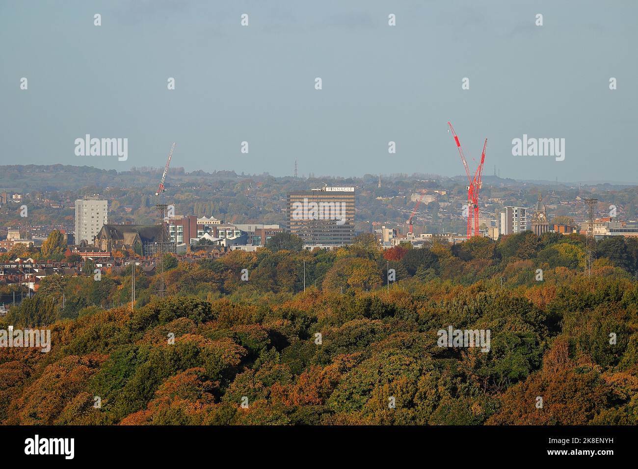 A section of Leeds City Skyline with The Pinnacle building & Leeds Town Hall clock tower & Park