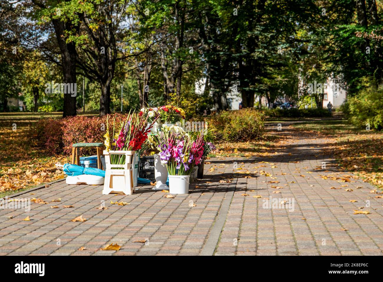 Selling flowers on the street. City park, autumn view. Stock Photo