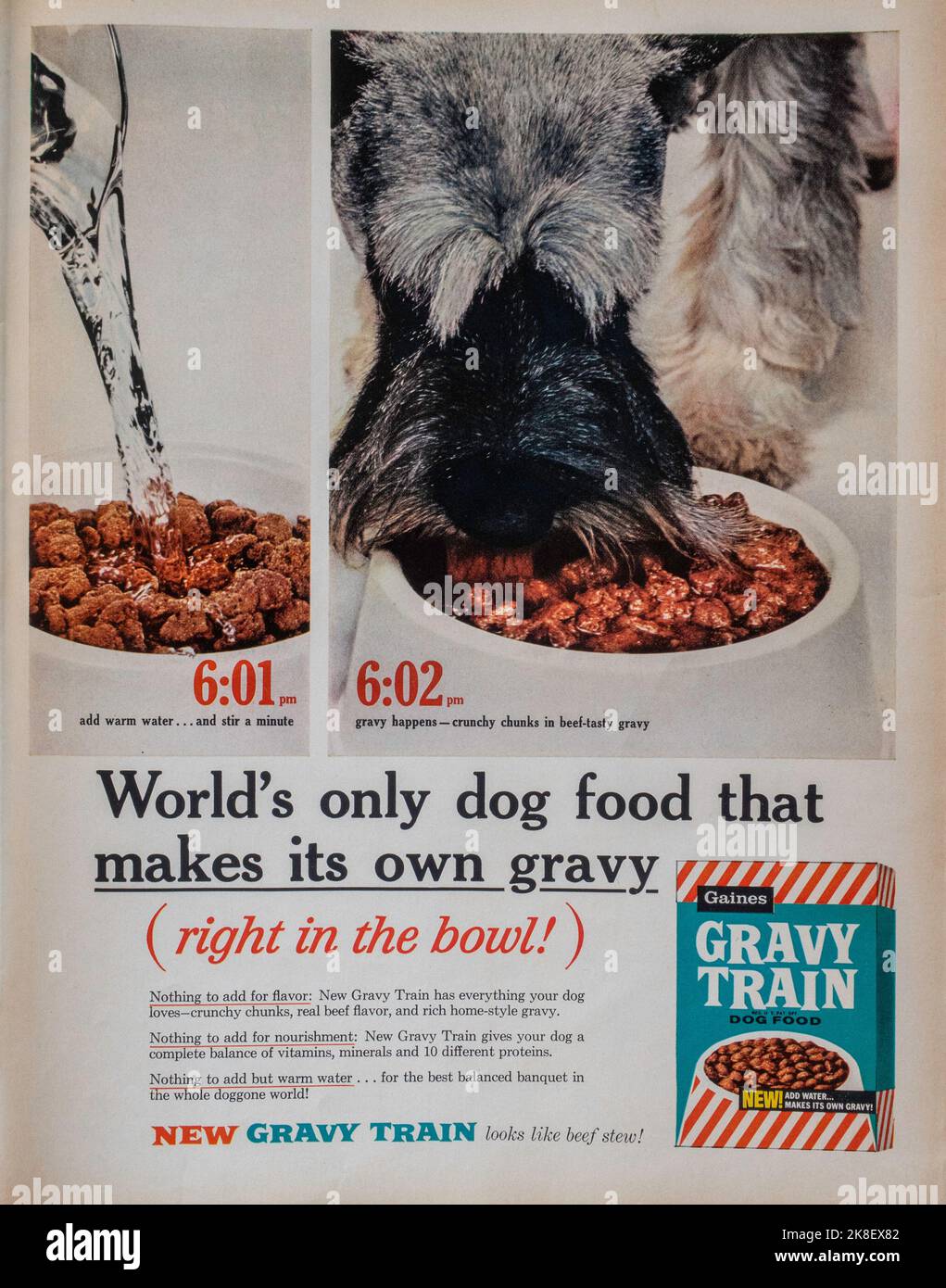 Vintage  10 February 1961 'Life' Magazine Advert, USA Stock Photo