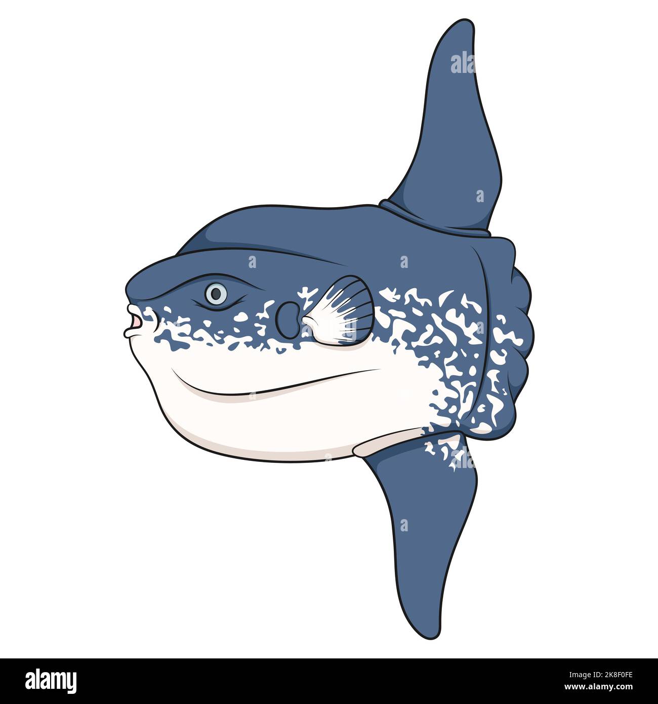 Mola Mola Drawing