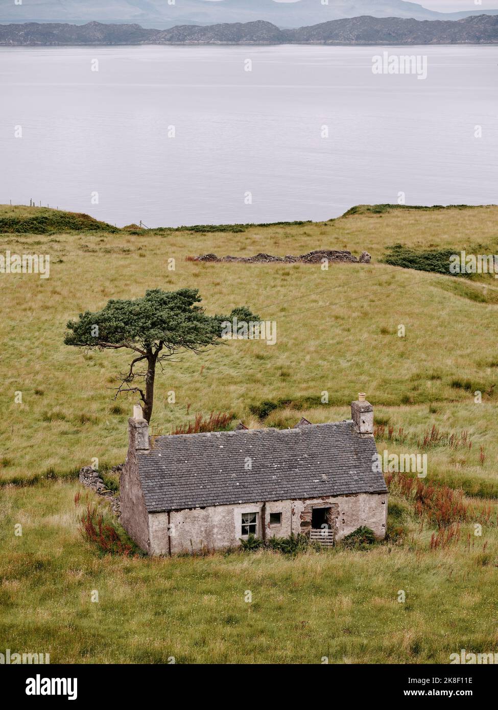 An abandoned derelict croft ruin and tree in Ross-Shire West Scotland UK Stock Photo