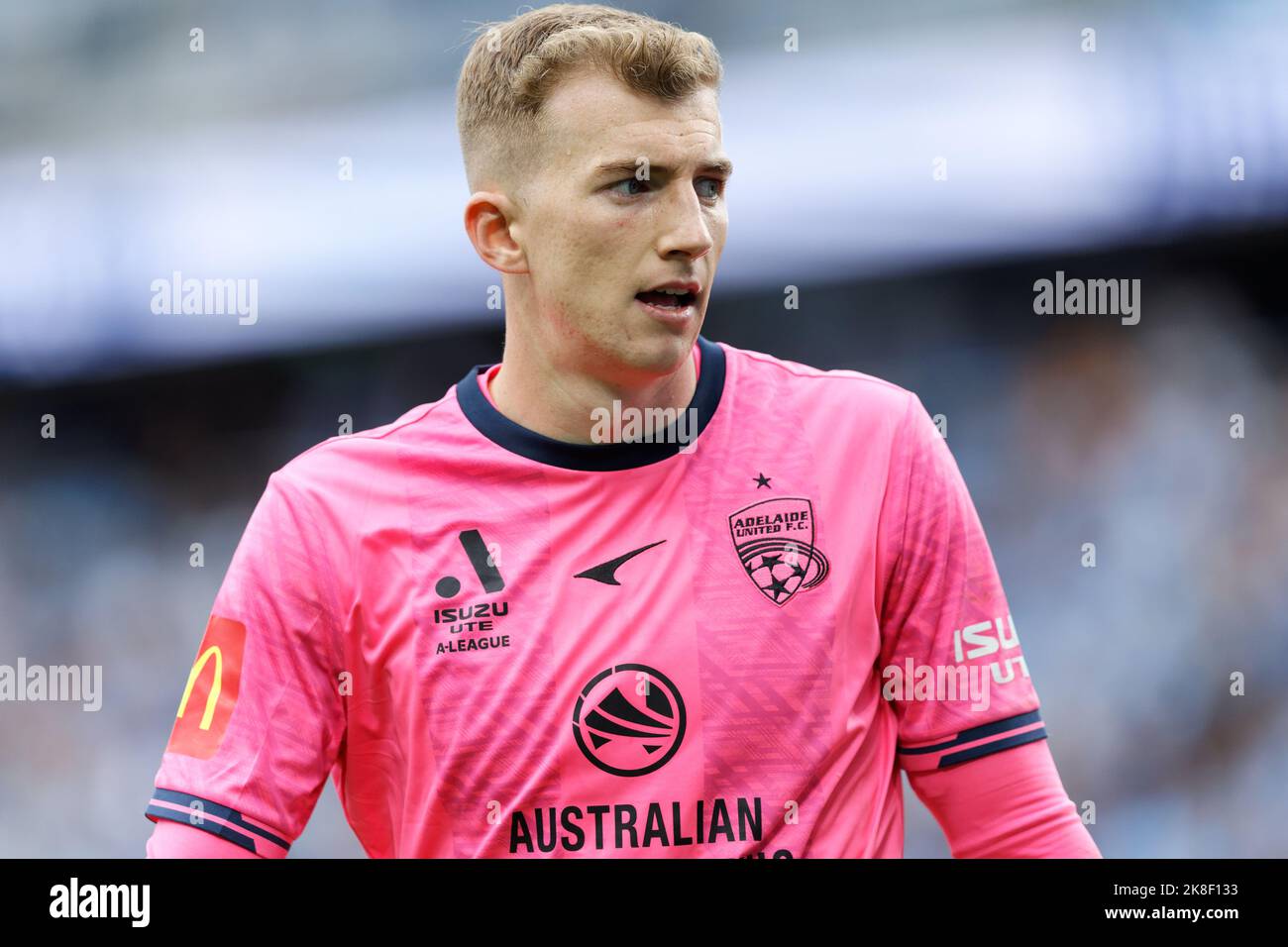 SYDNEY, AUSTRALIA - OCTOBER 23: Joe Gauci of Adelaide United looks on during the match between Sydney FC and Adelaide United at Allianz Stadium on October 23, 2022 in Sydney, Australia Credit: IOIO IMAGES/Alamy Live News Stock Photo