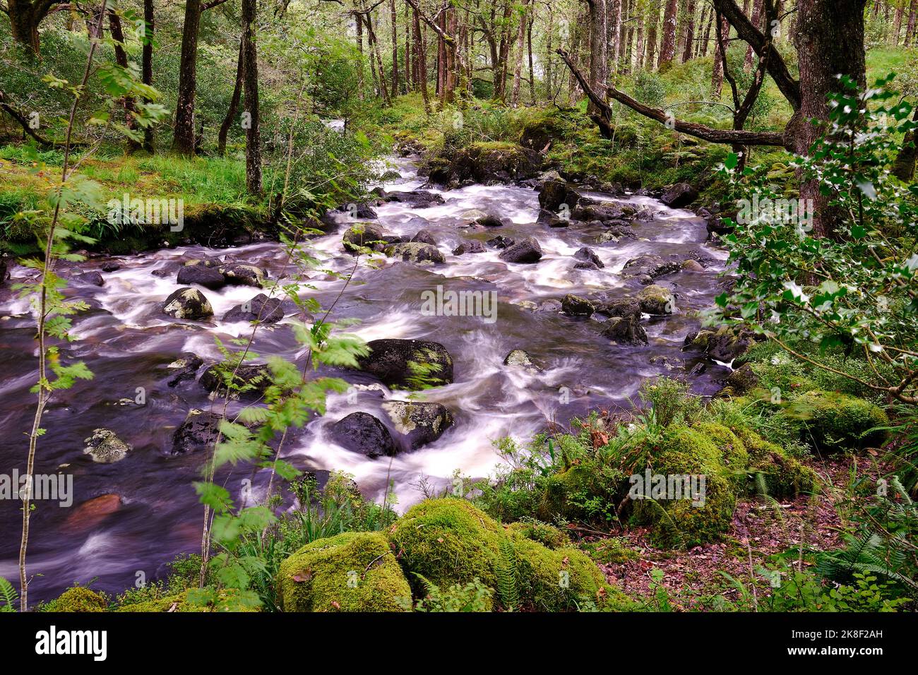 Glentrool National park, Dumfries and Galloway, Scotland, waterways and waterfalls Stock Photo