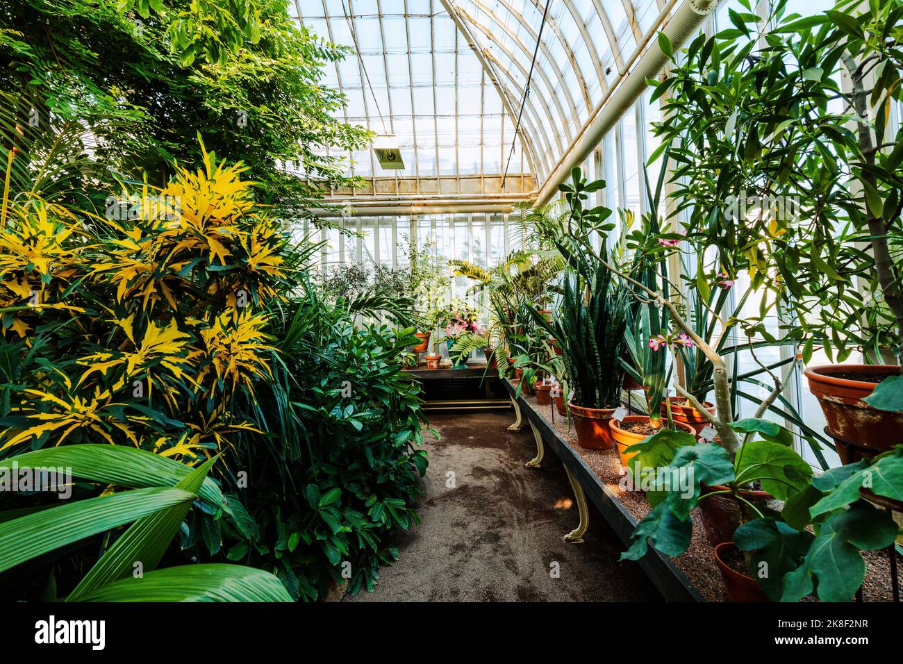 Glass Greenhouse. The public Palm House, Garden Society in Gothenburg ...