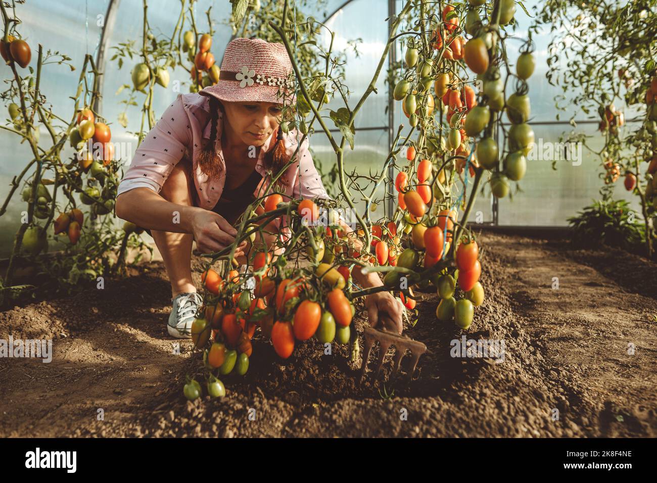 Mature farmer digging soil with gardening fork in greenhouse Stock Photo