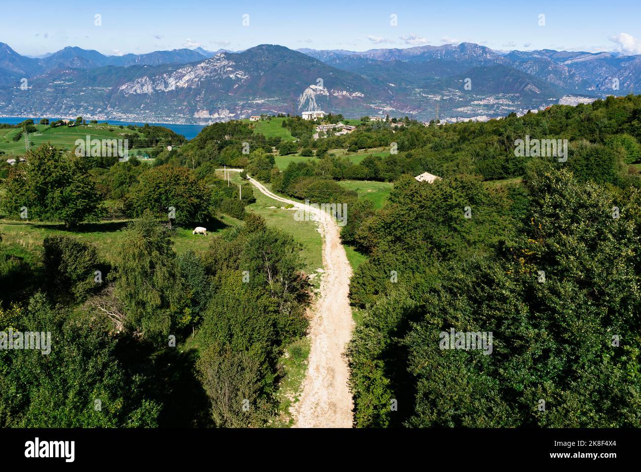 Scenic view of green landscape on sunny day Stock Photo