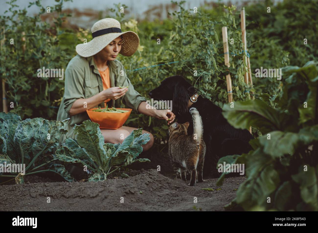 Woman feeding green peas to dog and cat in garden Stock Photo Alamy