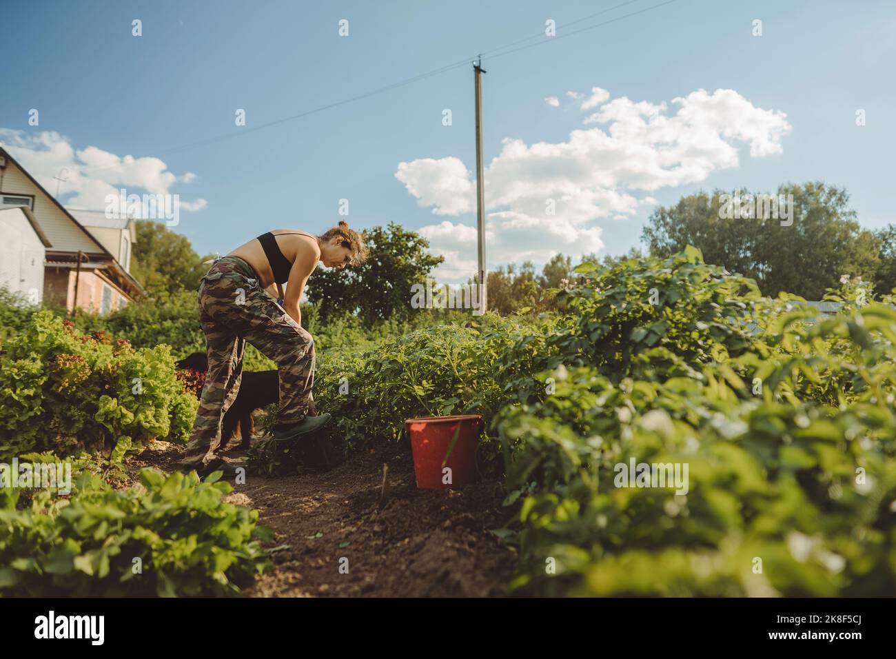Woman working with shovel in vegetable garden Stock Photo - Alamy