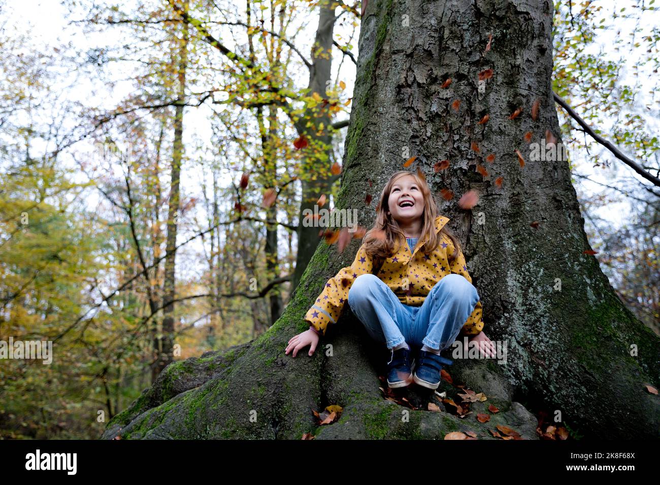 Cheerful girl sitting on tree trunk watching leaves falling in forest Stock Photo