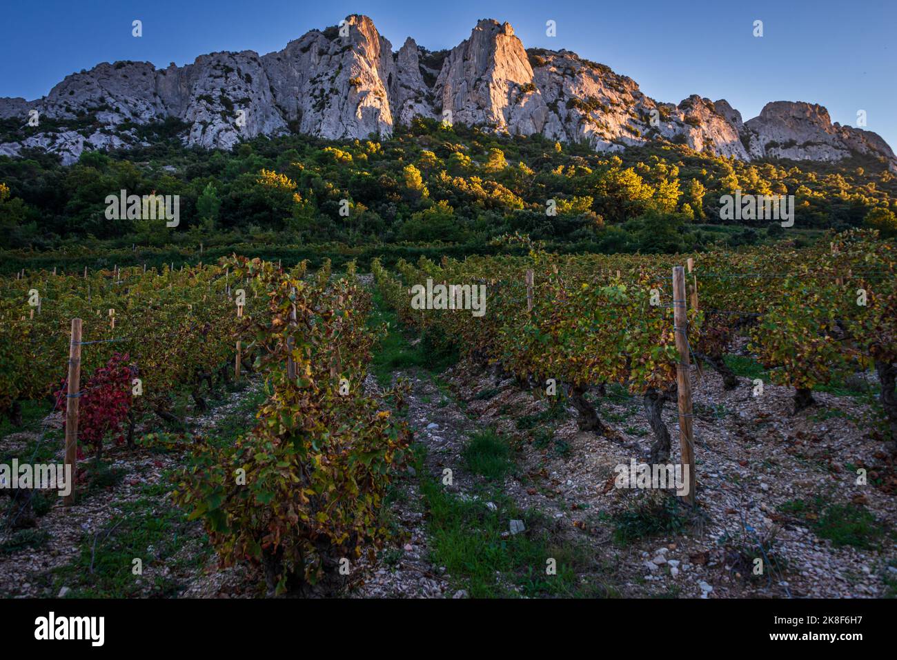 beautiful landscape of the dentelle de montmirail , small mountains in provence France with vineyards in fore ground, taken at Beaume de Venise , vauc Stock Photo