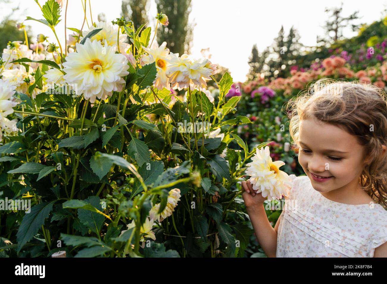 Little girl smelling flowers in garden Stock Photo - Alamy