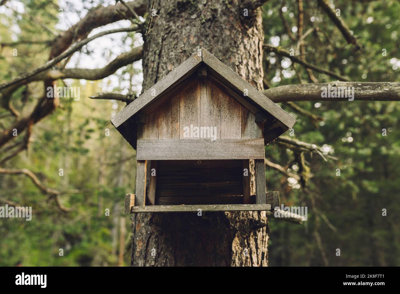 Wooden birdhouse hanging on tree trunk Stock Photo