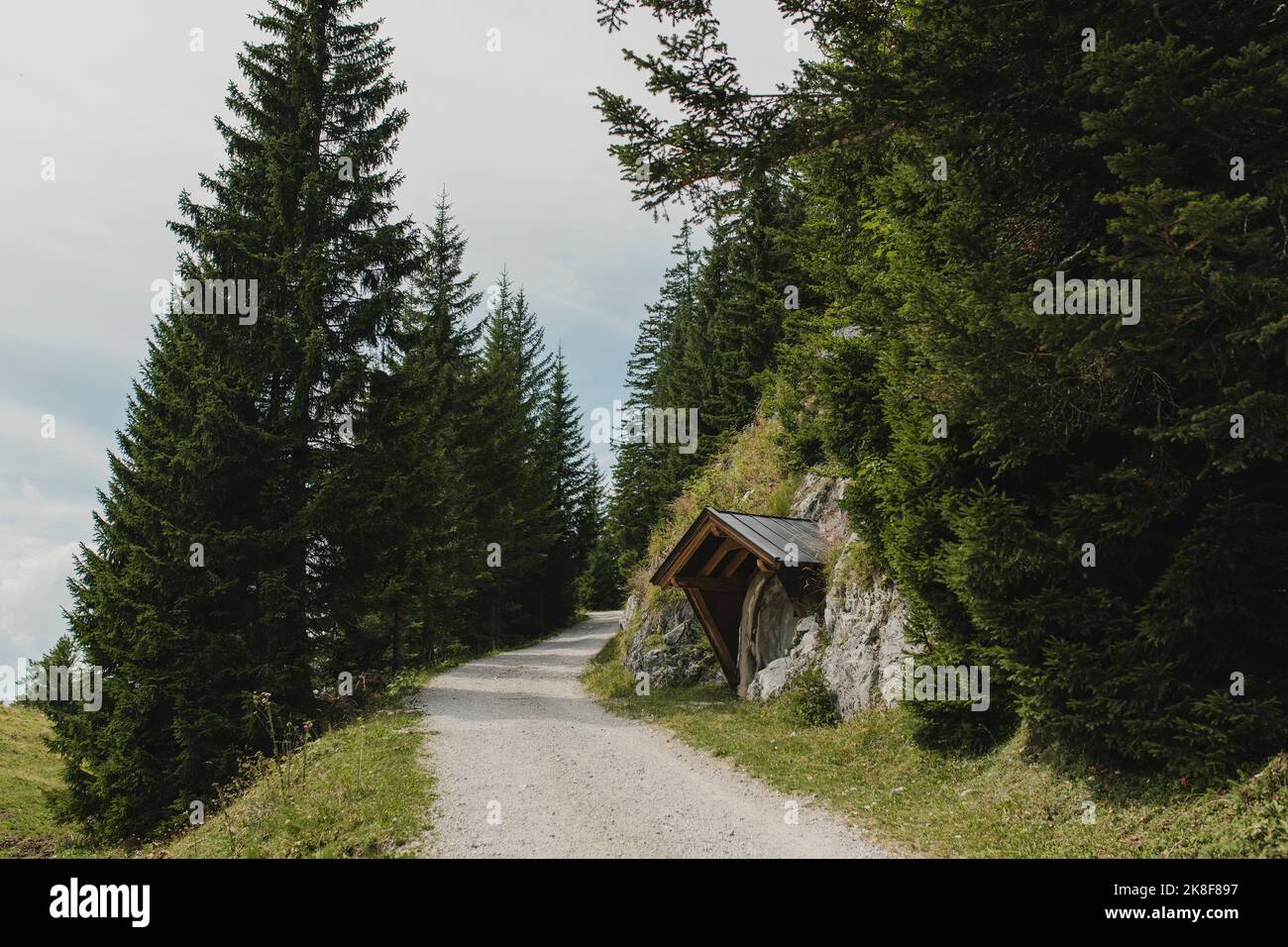 Empty dirt road amidst green trees on mountain Stock Photo - Alamy