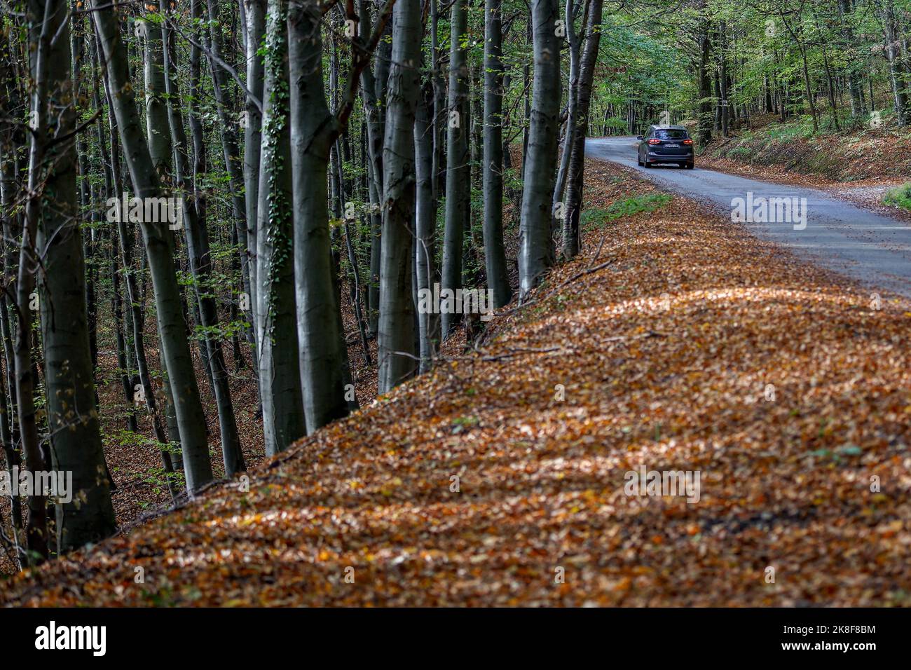 a-beautiful-scenery-of-autumn-on-mountain-medvednica-on-october-23