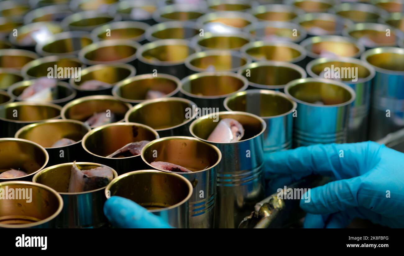 Canned fish factory. Food industry. Food processing production line. Food manufacturing industry