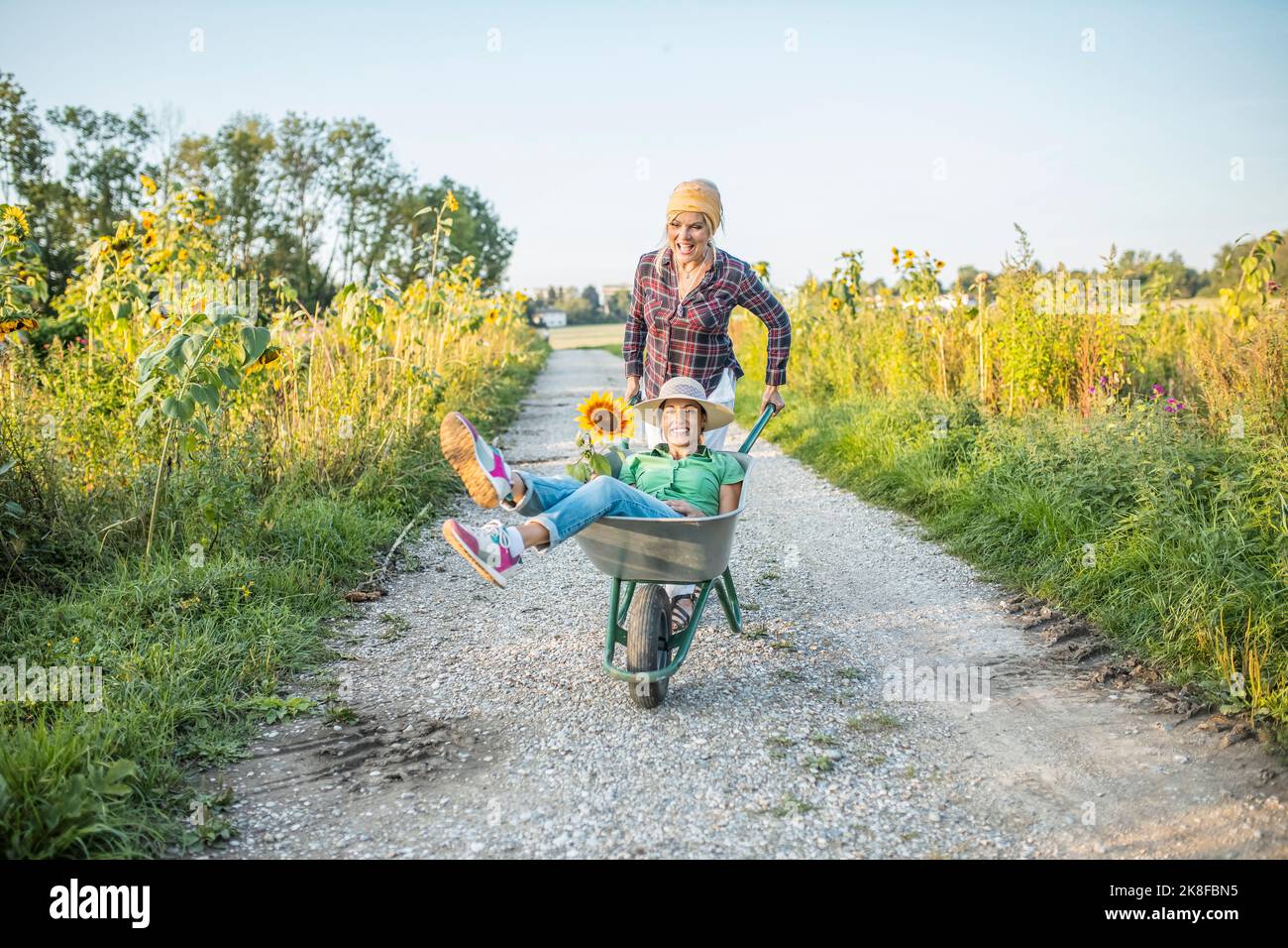 Happy gardener pushing colleague sitting in wheelbarrow at field Stock ...