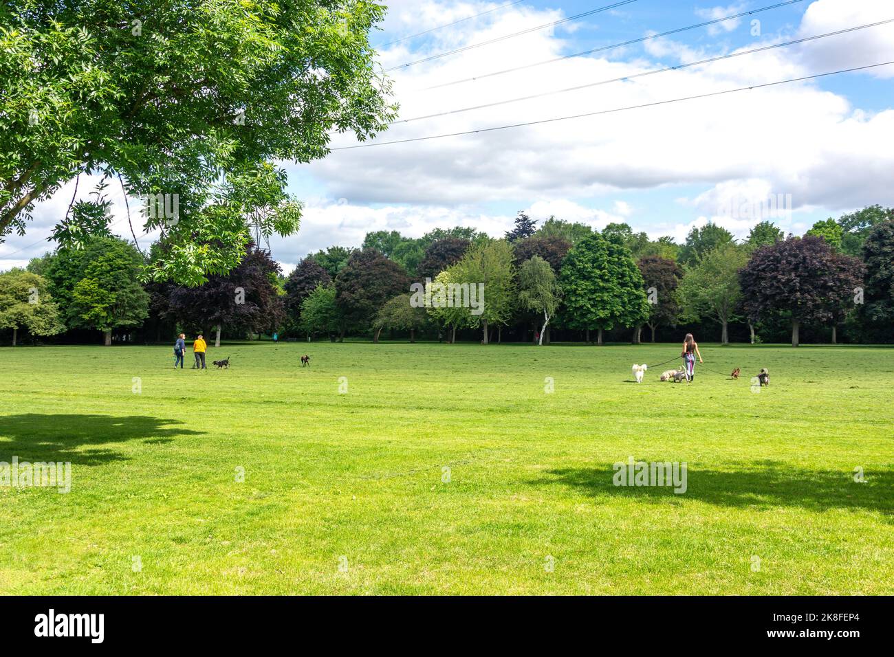 Dog walkers, Fordbridge Park, Kingston Road, Ashford, Surrey, England, United Kingdom Stock Photo