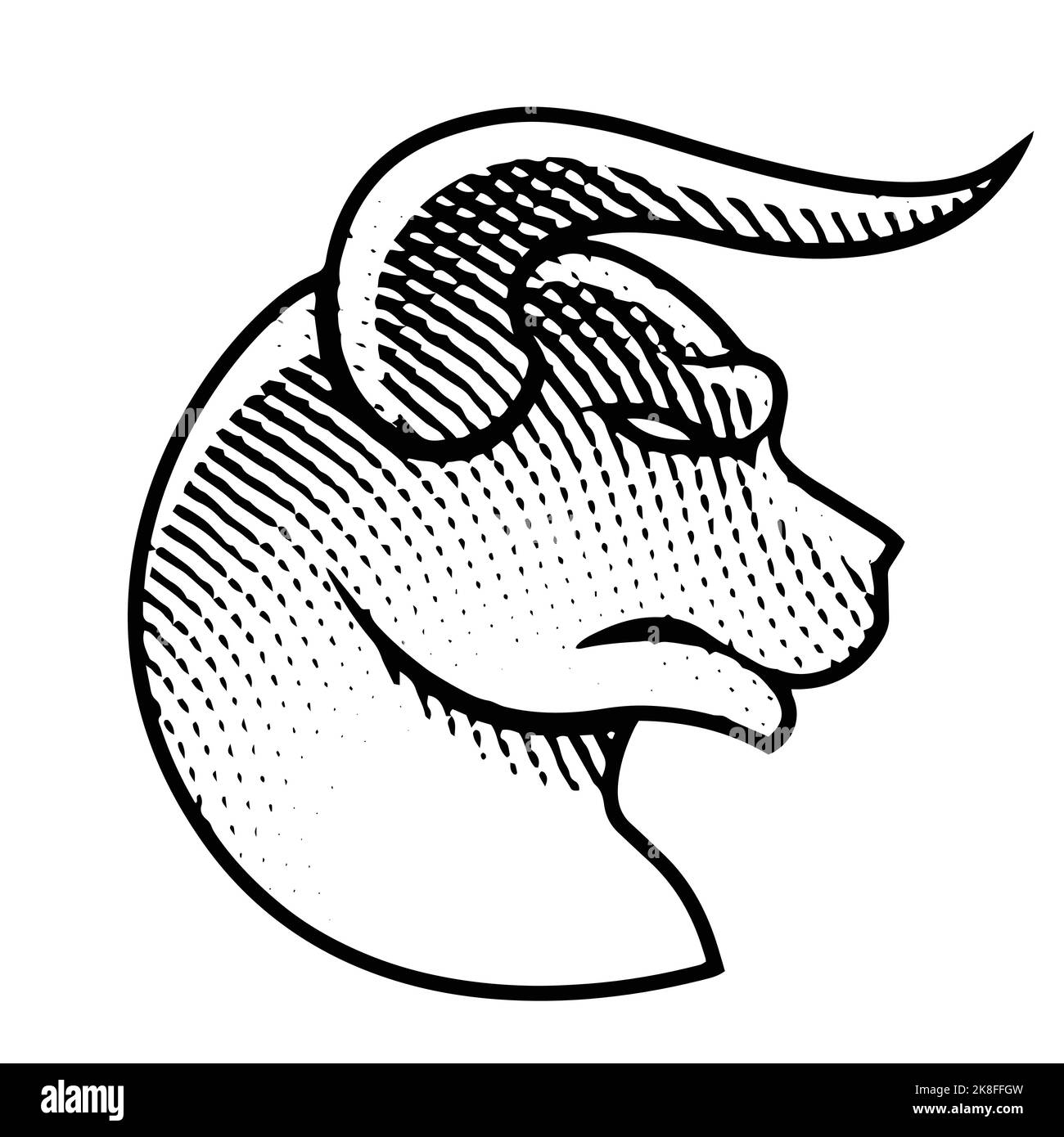 Illustration of Scratchboard Engraved Bull Profile View isolated on a