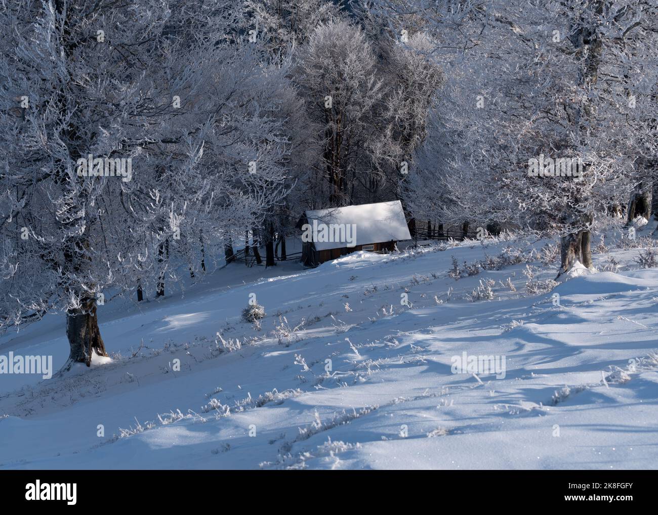 Frost covered landscape hi-res stock photography and images - Alamy