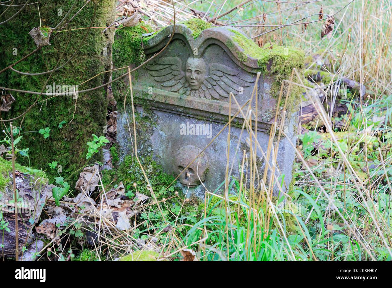 A medieval gravestone covered with  moss in a old cemetery Stock Photo
