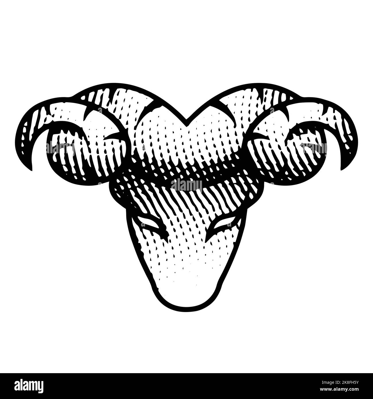 Illustration of Scratchboard Engraved Ram Front View isolated on a