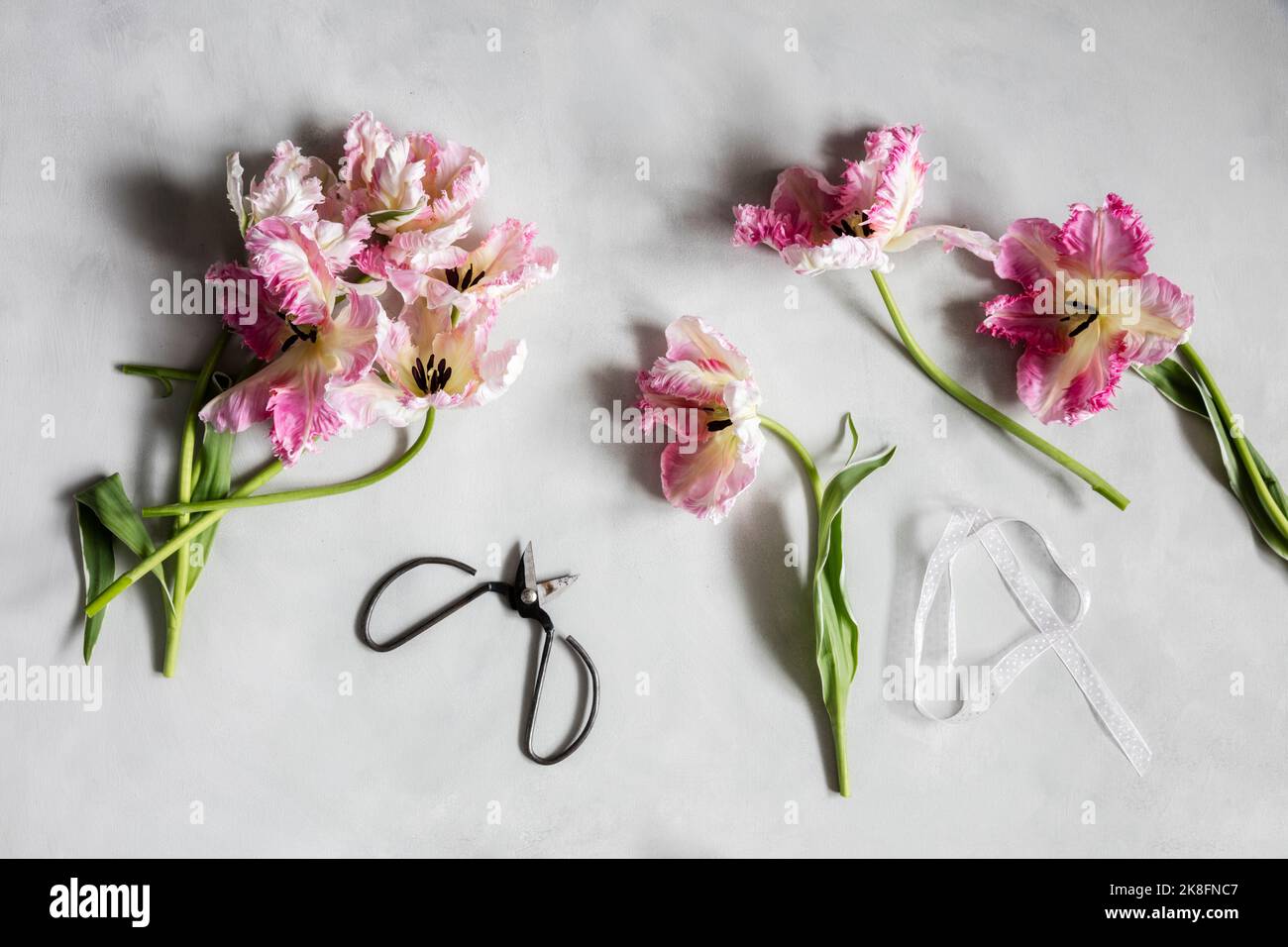 Several pieces of brown string on a white background Stock Photo - Alamy