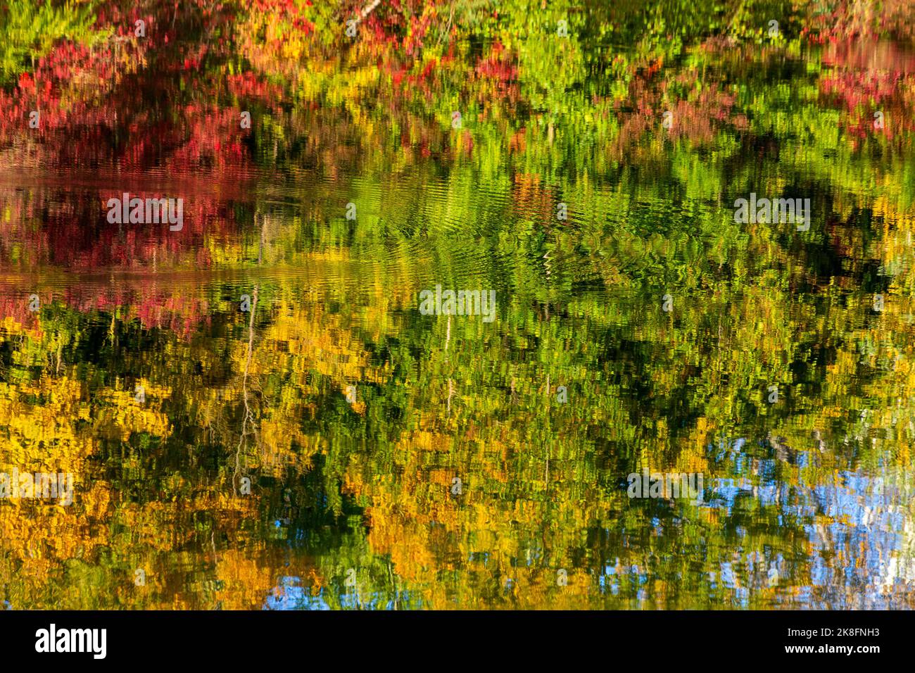 Autumn trees reflecting in Badesee Erlabrunn lake Stock Photo - Alamy