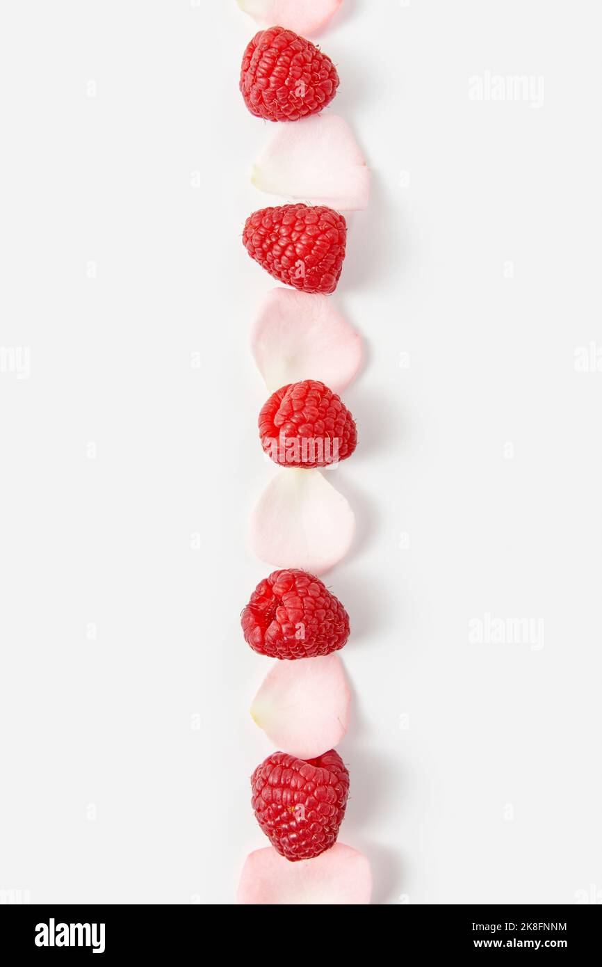 Rose And Raspberry Background Line made of raspberries and rose petals against white background Stock ...