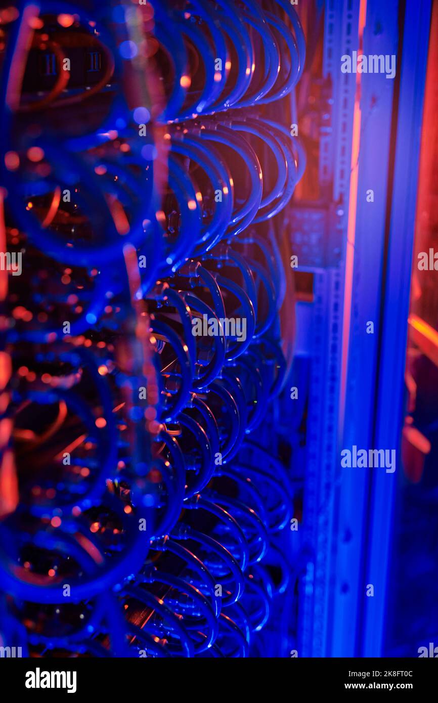 Computer data cables with red and blue neon light in control room Stock