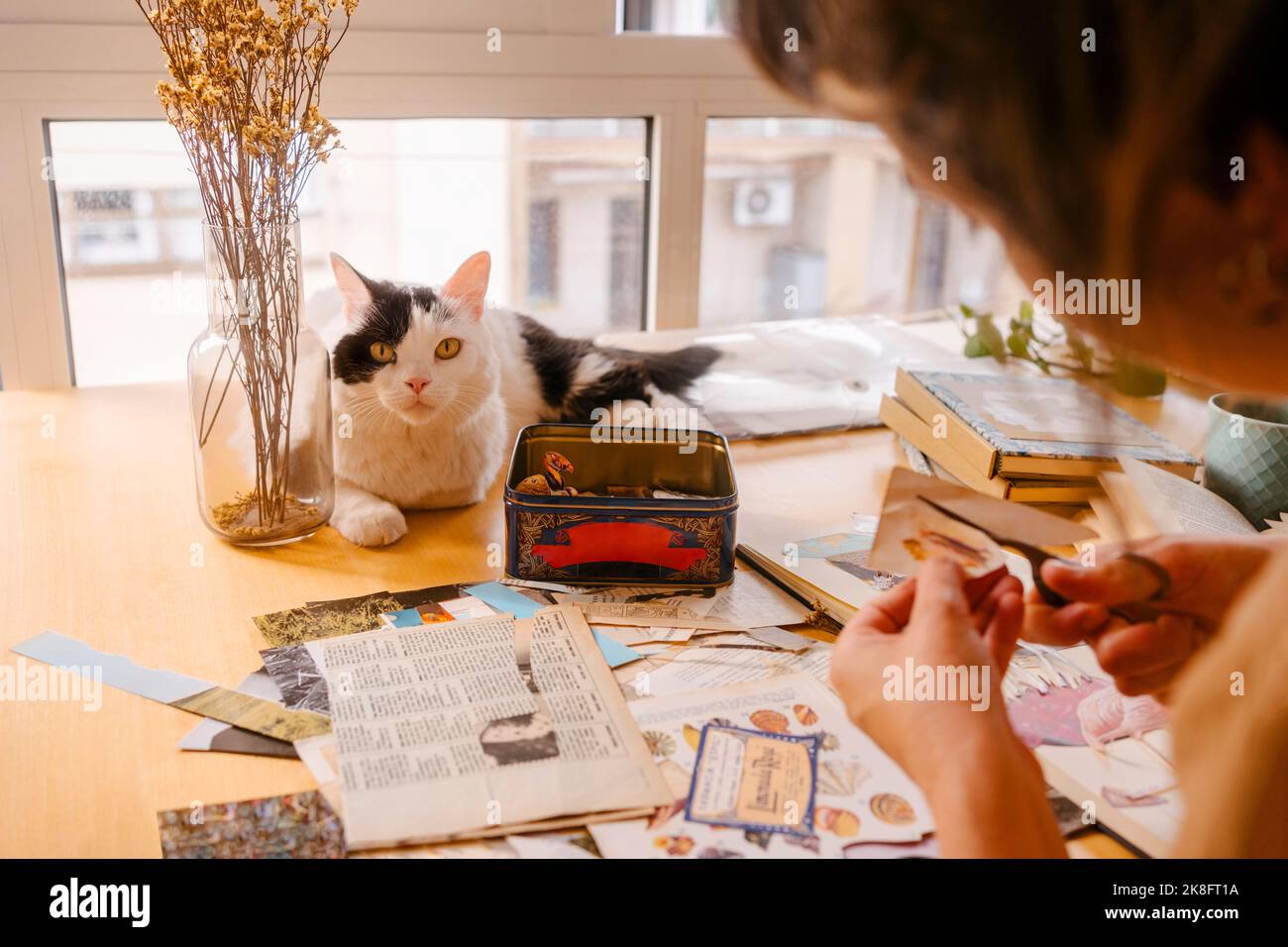 Freelancer cutting paper clipping by cat on desk at home Stock Photo