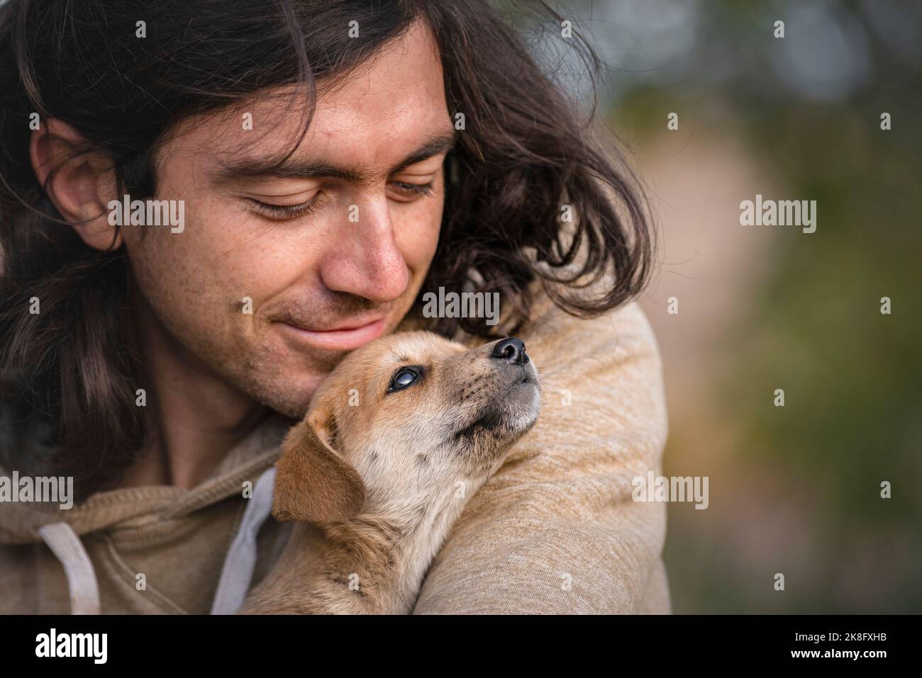 puppy dog sitting in the arms Beautiful happy reddish orange havanese