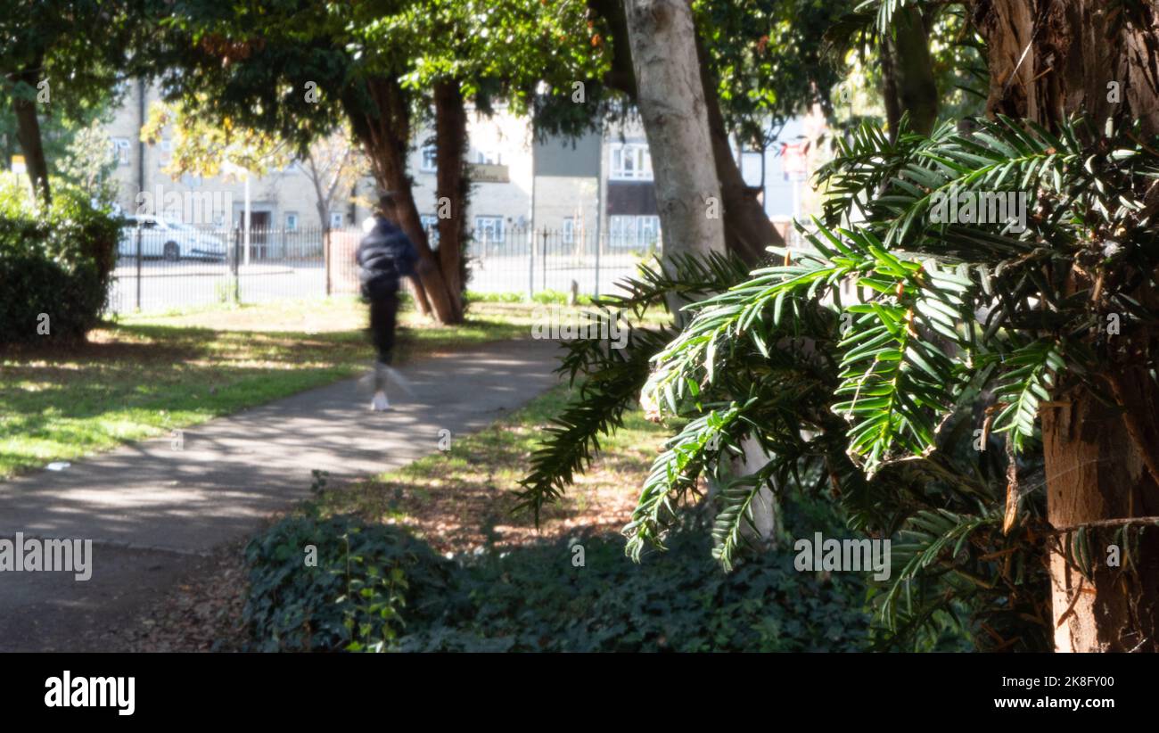 A runner jogs through Twyford Crescent Gardens in West London Stock