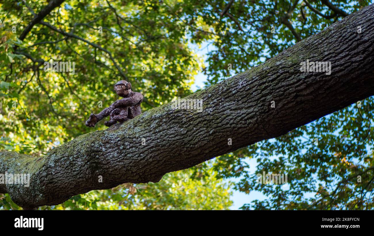 A wooden monkey sculpture sits in a tree as part of an animal trail in