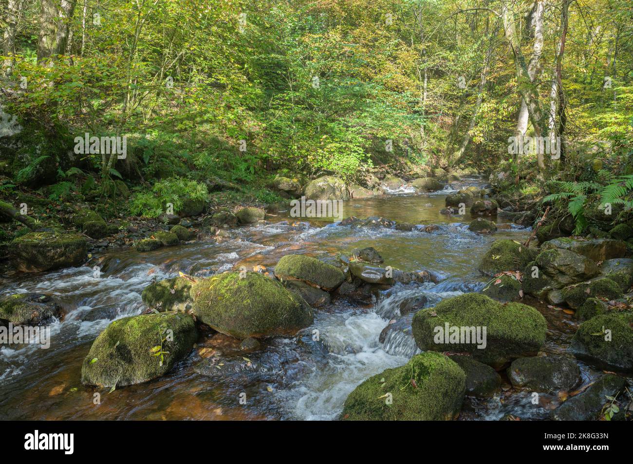 Upland section of the River Giedd in the Brecon Beacons National Park ...