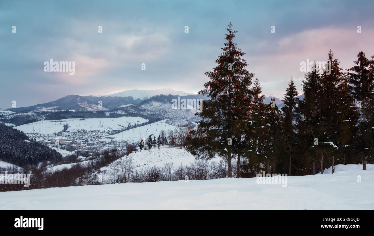 mountainous countryside landscape in winter. beautiful scenery at sunset on a cloudy evening. spruce trees on the snow covered hill. volovets town in Stock Photo